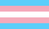 Transgender Transgender